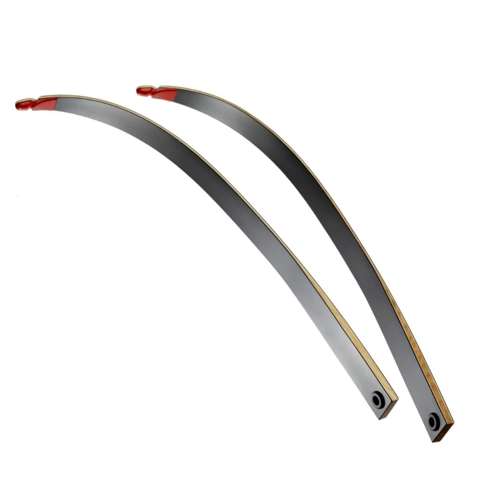 RAGIM Wildcat Black - 62 Zoll - 14-40 lbs - Recurvebogen